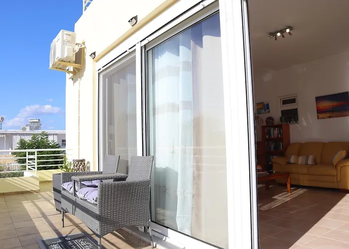 Summer Lovin * شاراكي