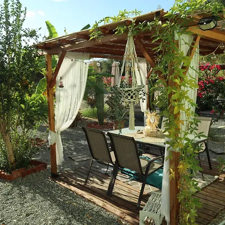 Apartament Summer Lovin Haraki